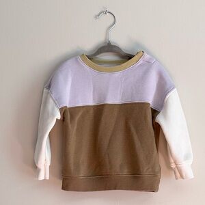 Little Co. Colorblock Sweatshirt Size 18M